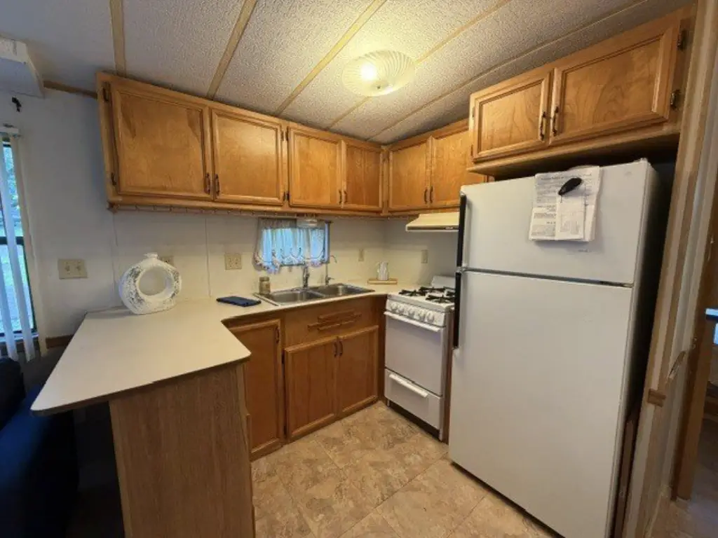 Picture 12