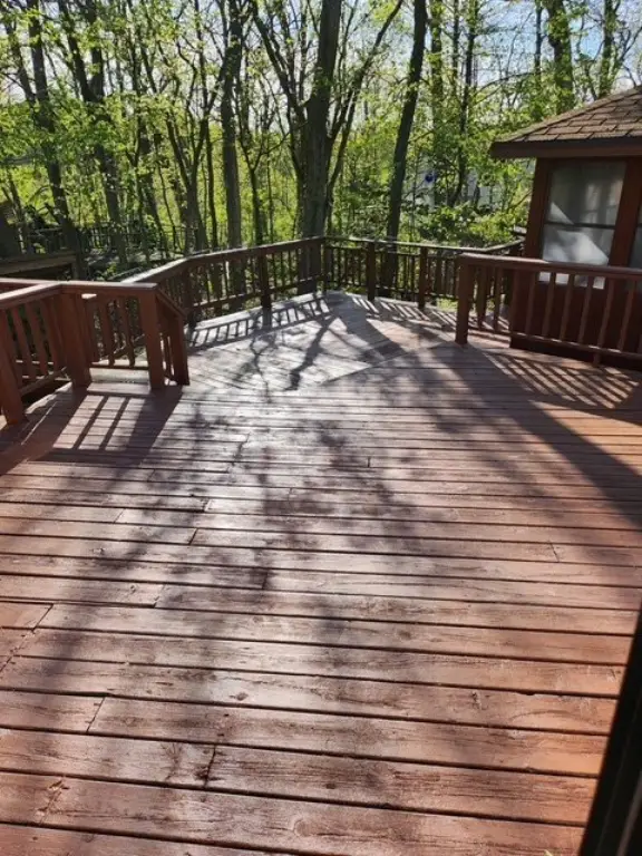Picture 21