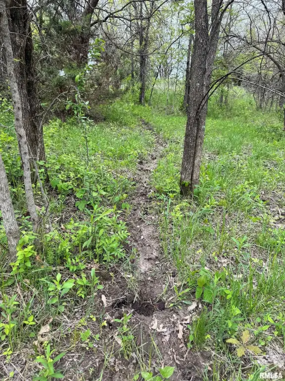 Picture 57