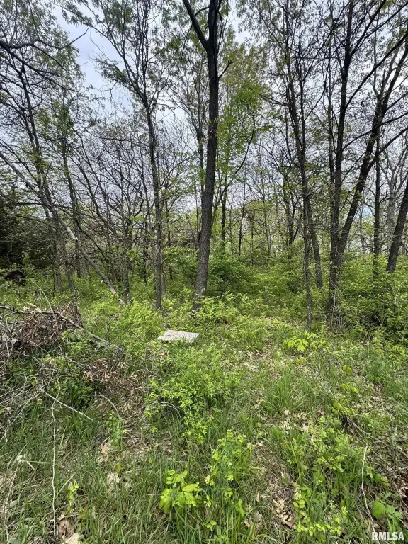 Picture 43