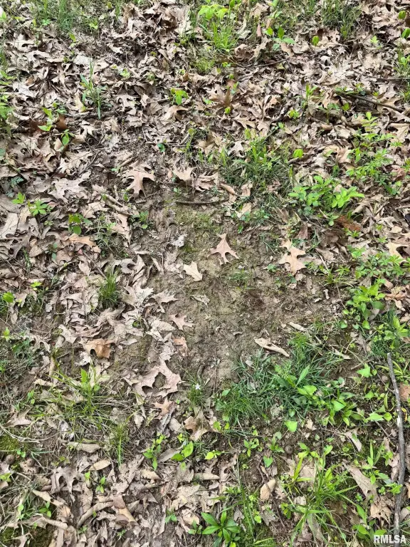Picture 41
