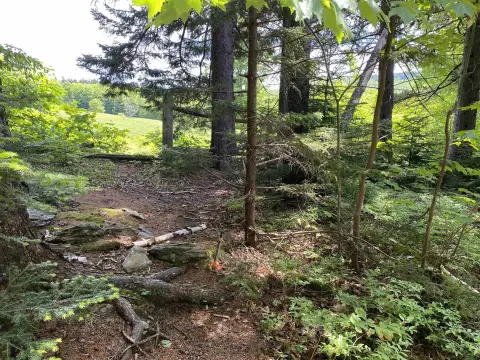Land with Beaver Pond