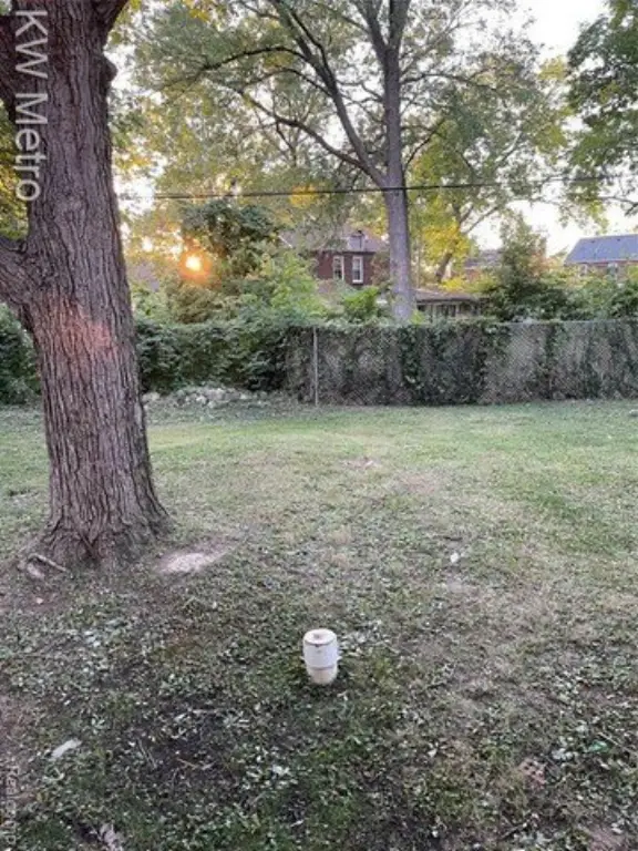 Picture 19