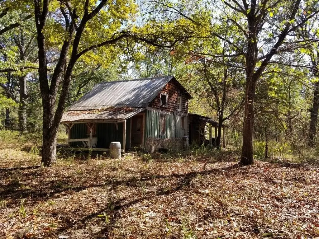 Picture 5