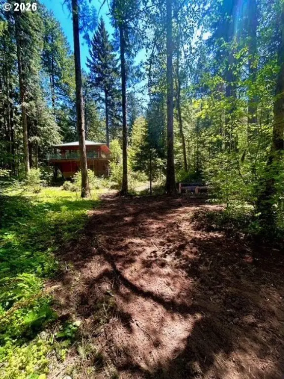 Picture 9