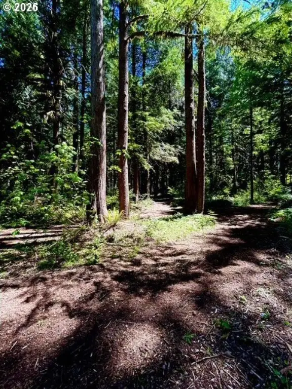 Picture 18