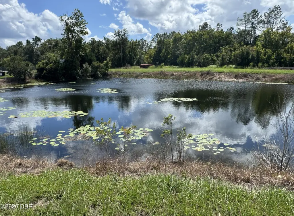Picture 25