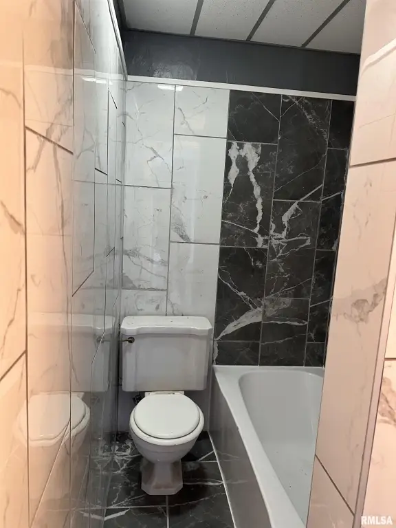 Picture 17