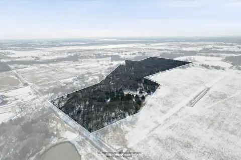 Heavily Wooded Land For Sale