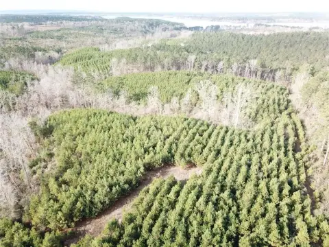 Zwolle Timber and Recreational Tract