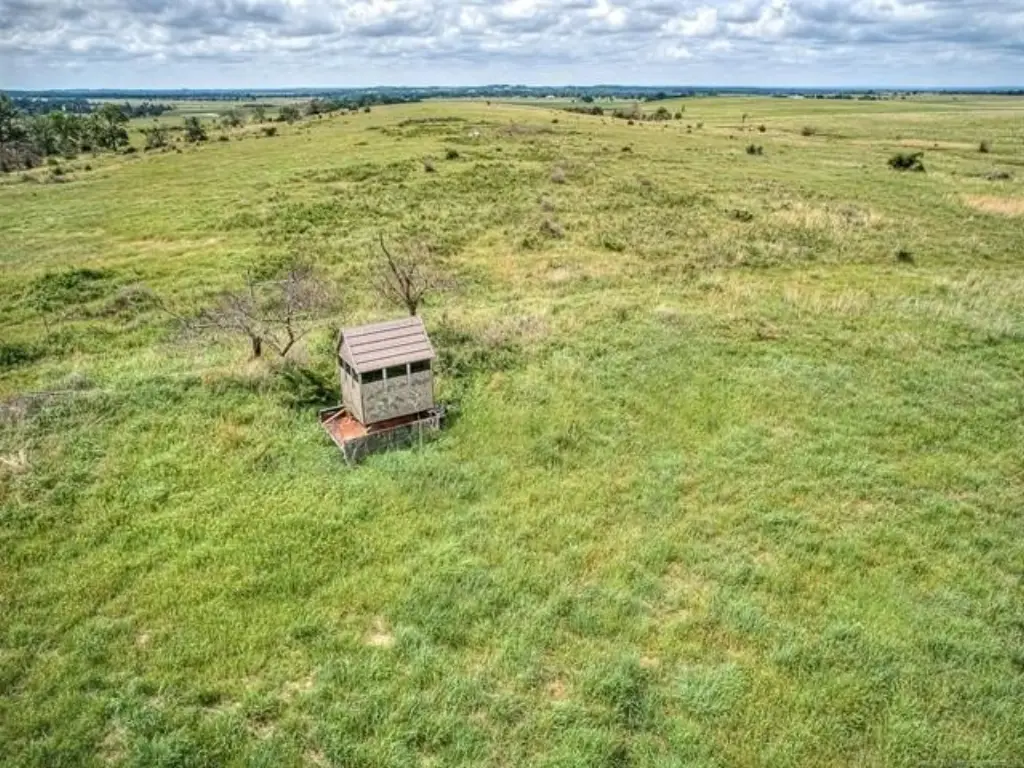 Picture 12