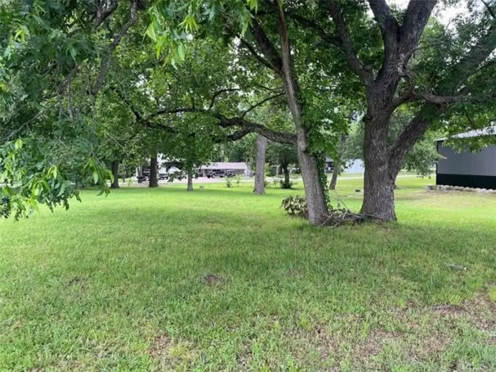 Picture 5