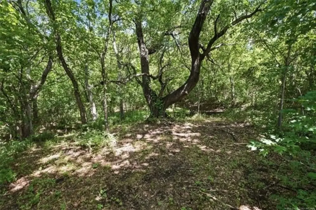Picture 6