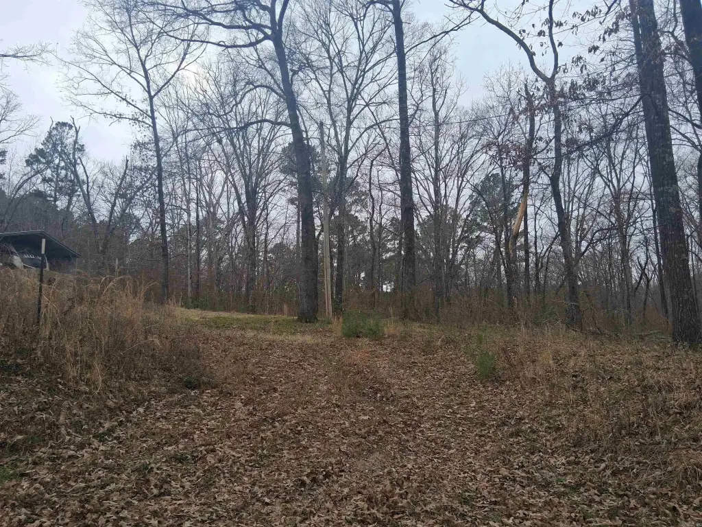 Picture 11