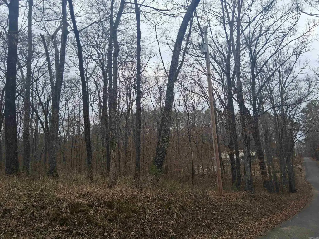 Picture 6