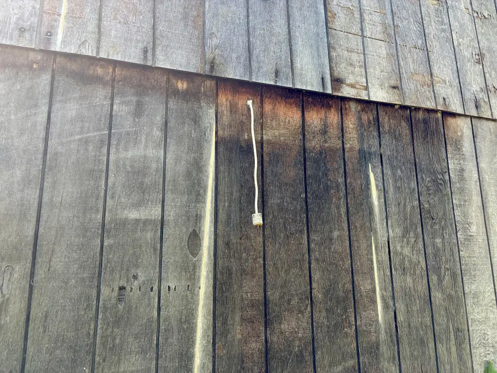 Picture 16