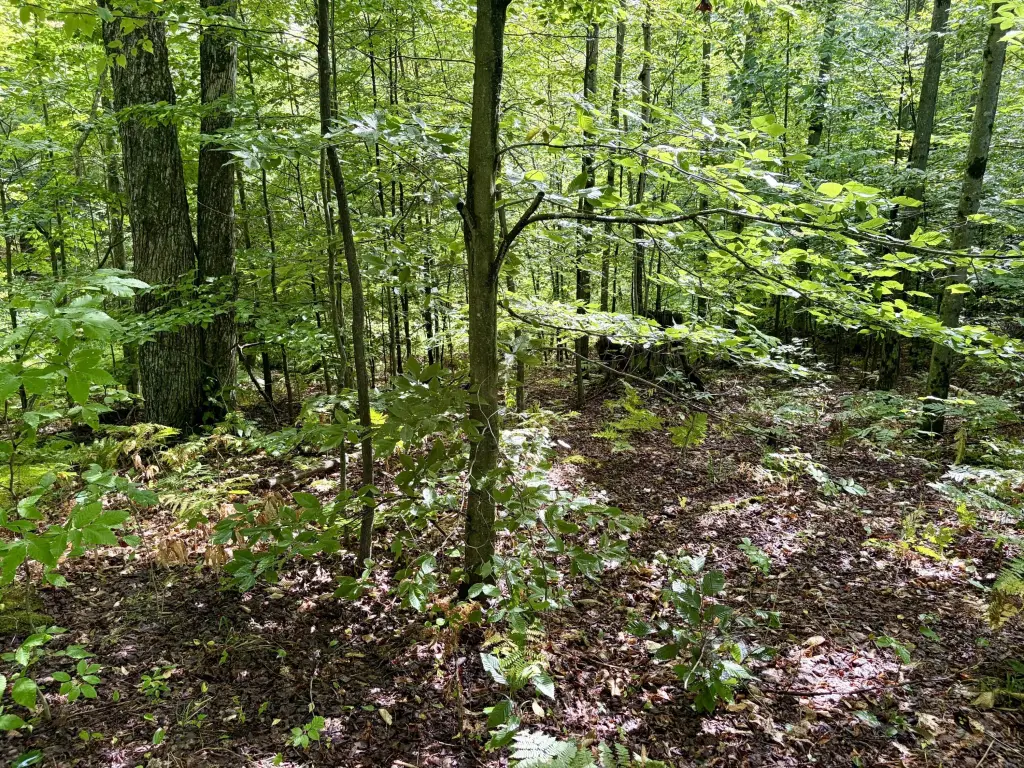 Picture 28