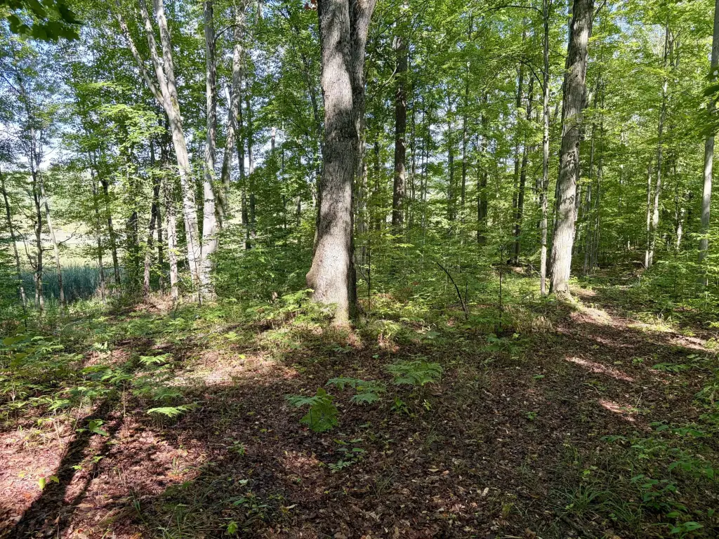 Picture 22