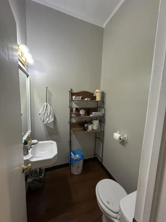 Picture 19