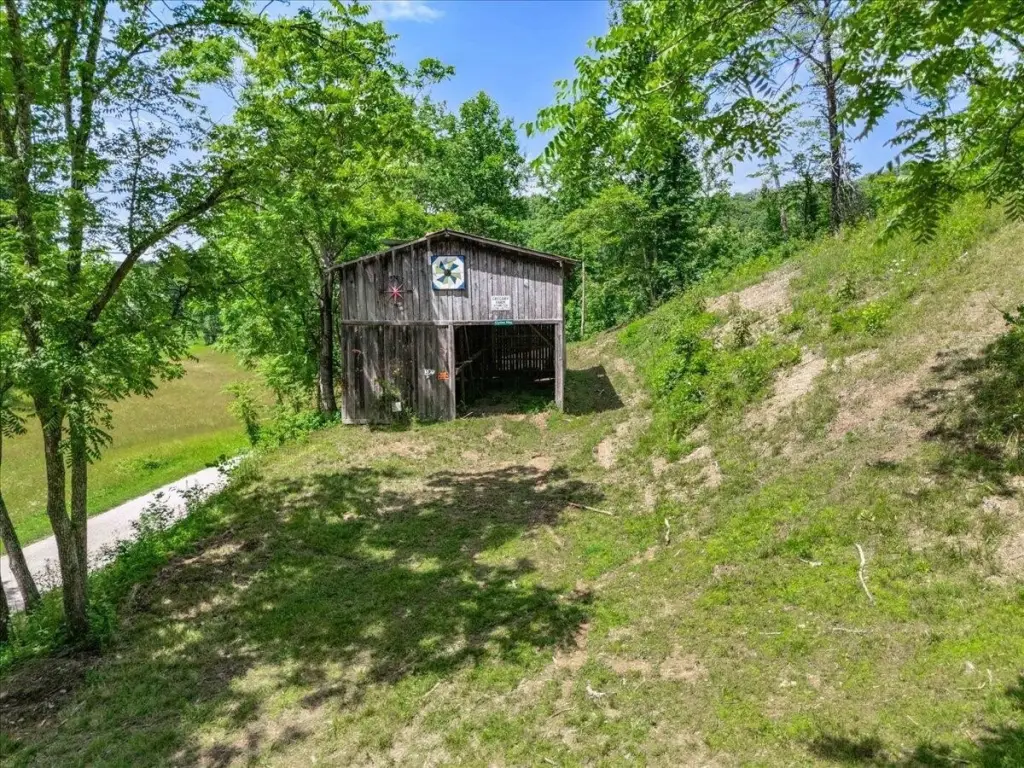 Picture 6