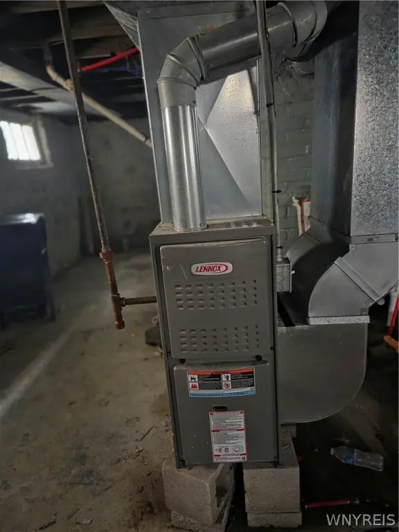 Picture 23