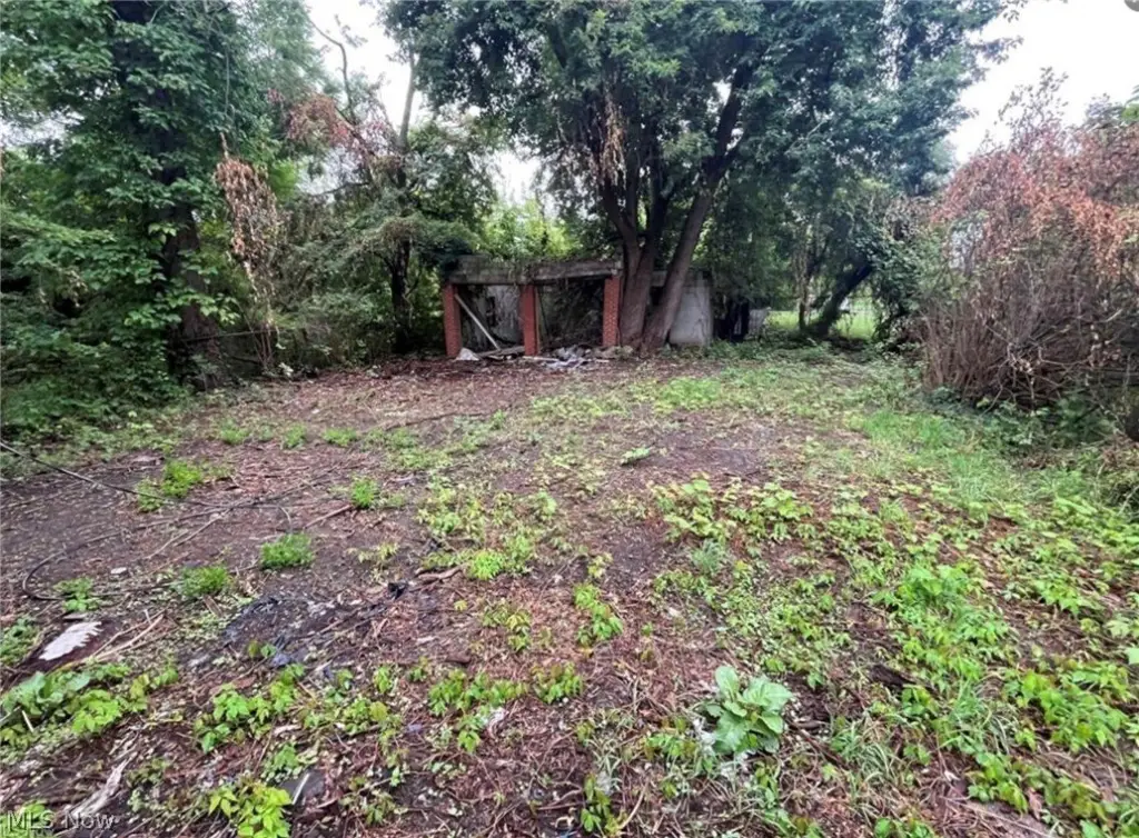 Picture 5