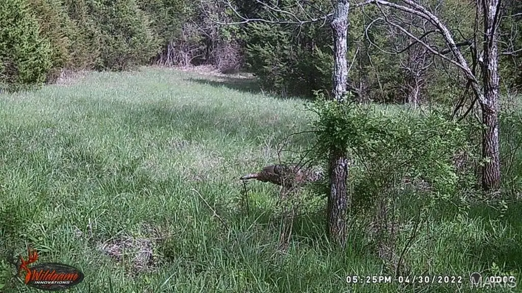 Picture 41