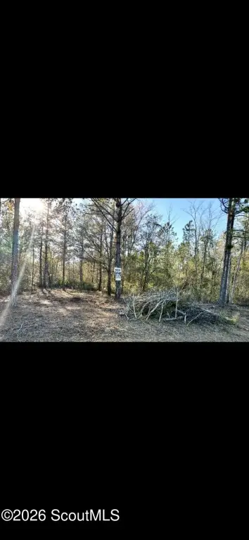 Picture 11