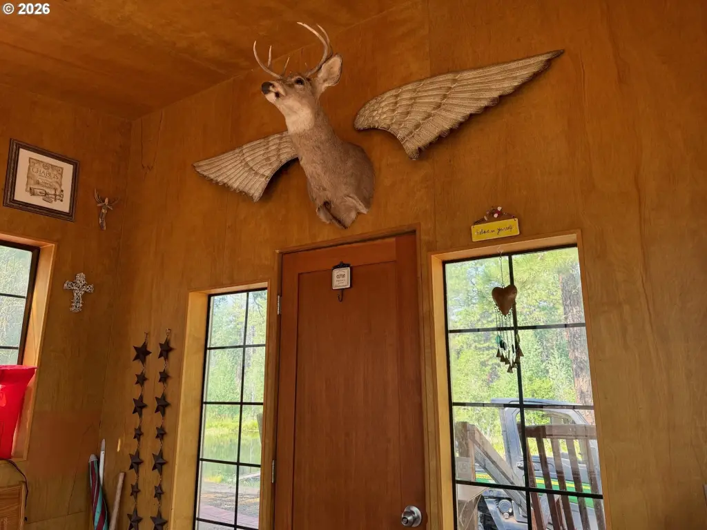 Picture 14