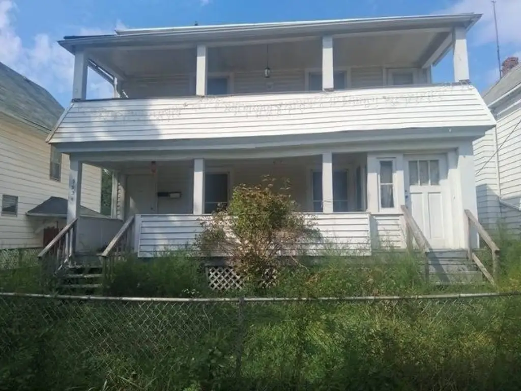 Picture 6