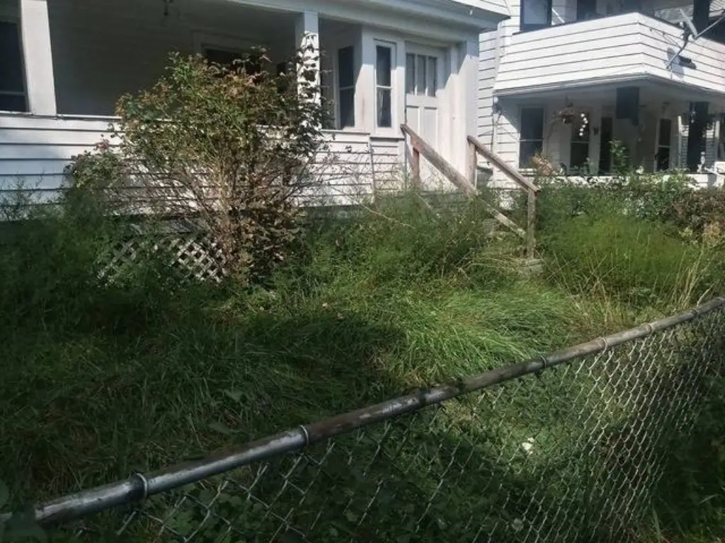 Picture 15