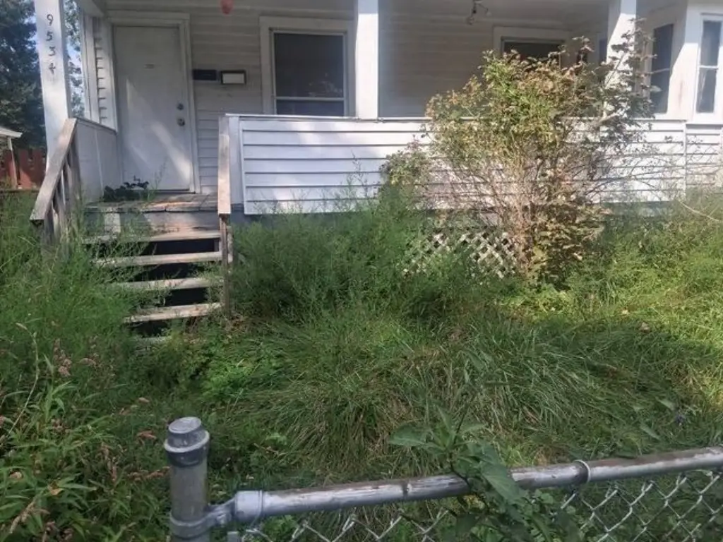 Picture 14