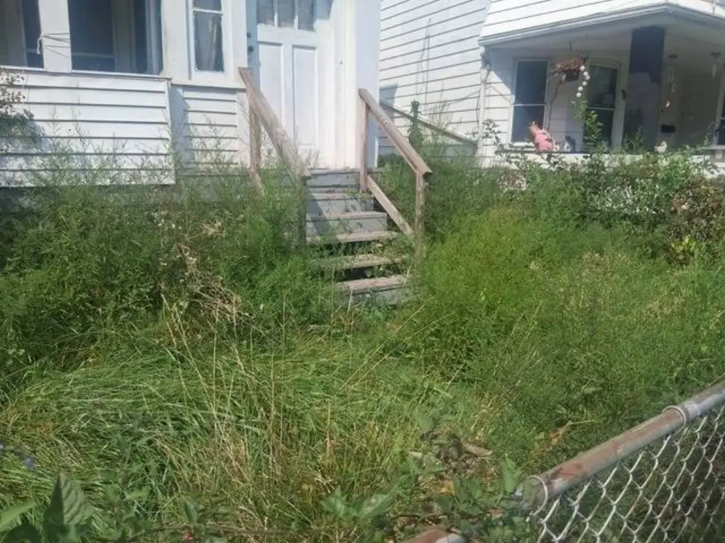 Picture 17