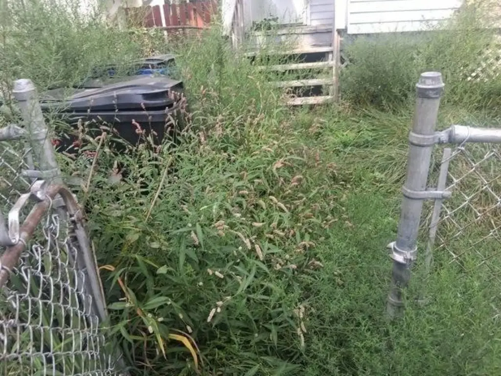 Picture 13