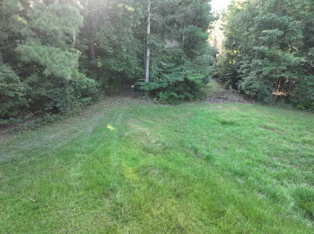 Picture 18
