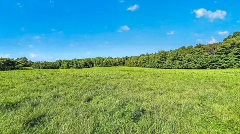 Wooded Land with Cleared Field