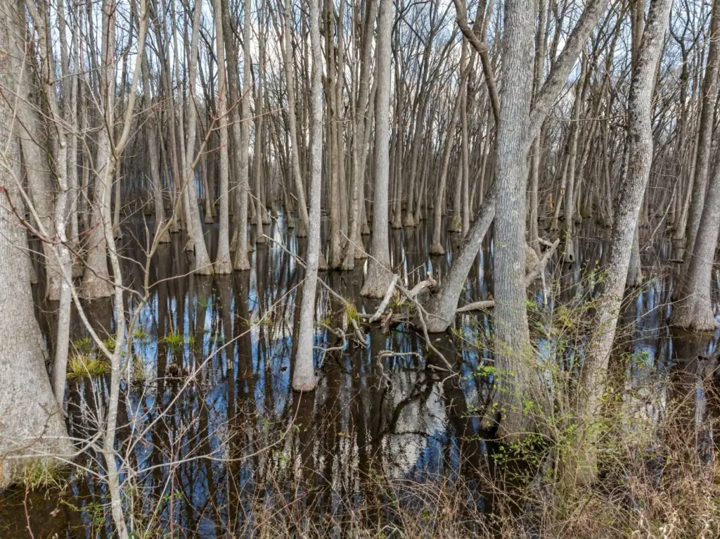Picture 9