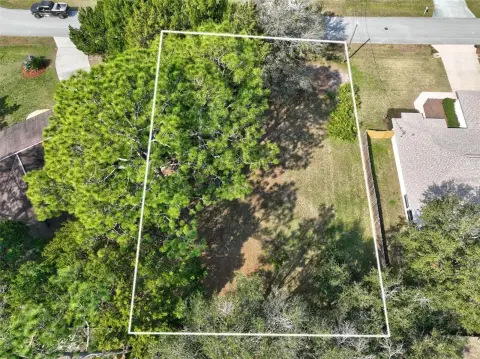 Residential Land in Palm Coast