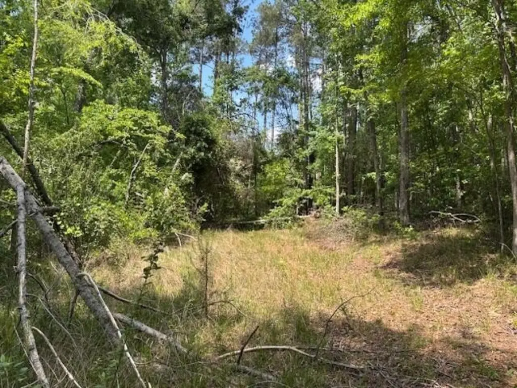 Picture 2