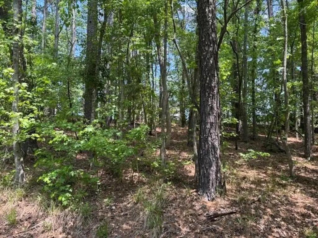 Picture 3