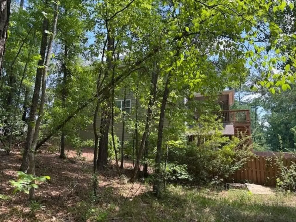 Picture 4