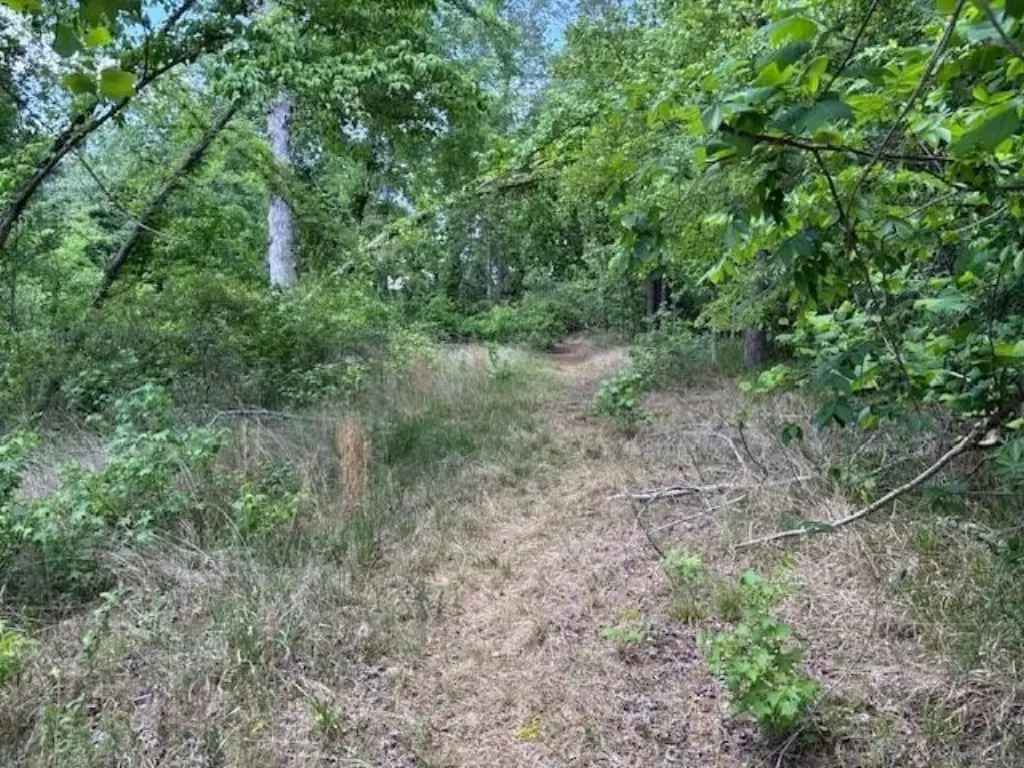 Picture 7