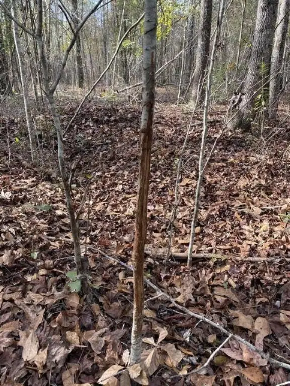 Picture 10