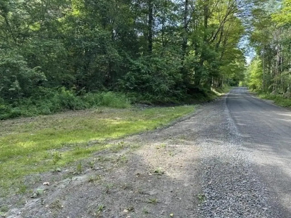 Picture 3