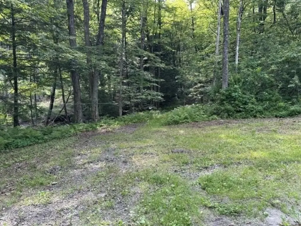 Picture 2