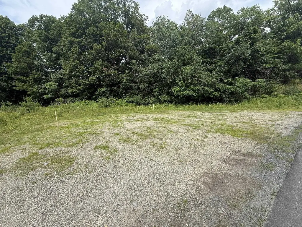 Picture 3