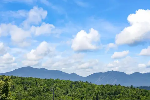 Residential View Lot with Stream