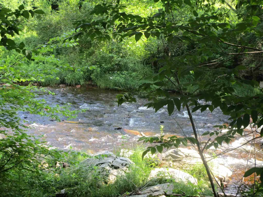 Picture 6