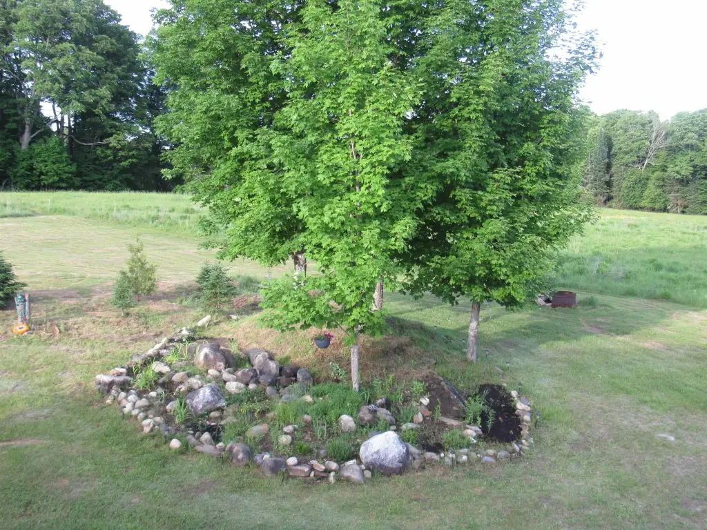 Picture 33