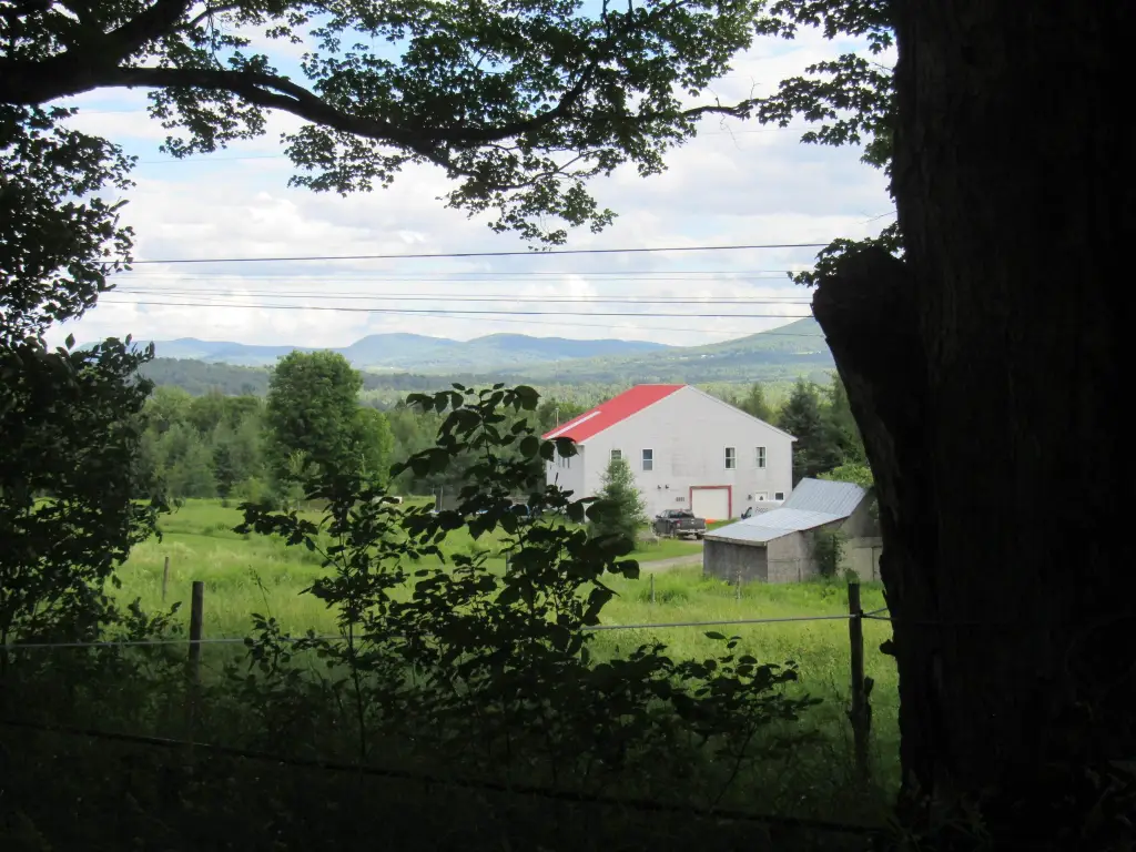 Picture 35